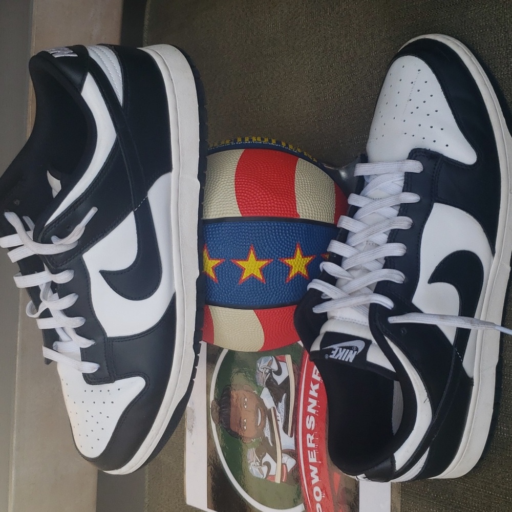 Panda Dunks - image 1